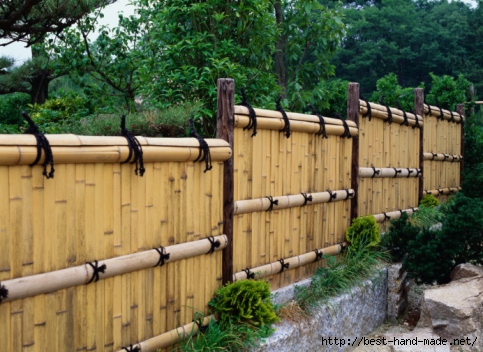 bamboo-fence (483x352, 174Kb)